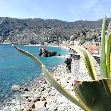 Nel Cuore Di Monterosso Cinque Terre Orto Di Ciack * Μοντερόσο αλ Μάρε