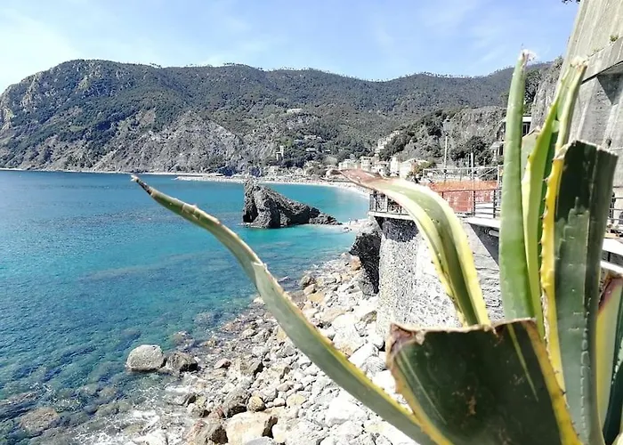 Nel Cuore Di Monterosso Cinque Terre Orto Di Ciack * Monterosso al Mare